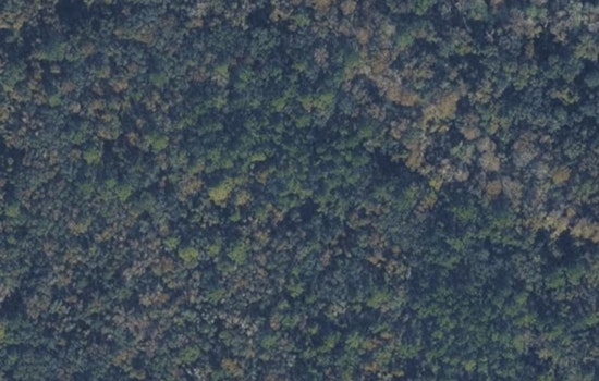 St. Johns County Quietly Scoops Up 33 Wooded Acres By Elkton Fairgrounds