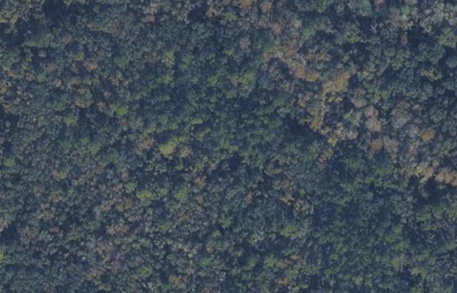 St. Johns County Quietly Scoops Up 33 Wooded Acres By Elkton Fairgrounds