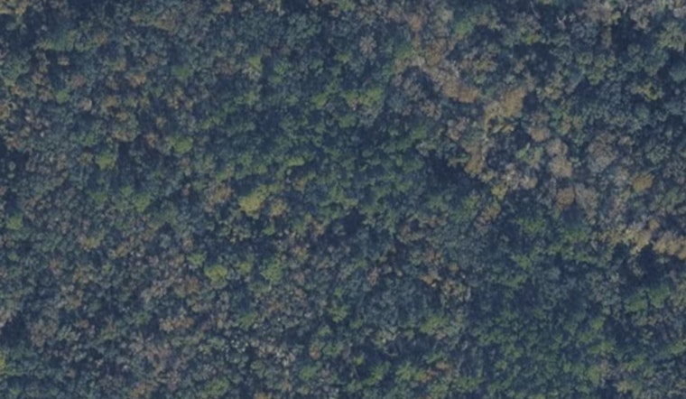 St. Johns County Quietly Scoops Up 33 Wooded Acres By Elkton Fairgrounds