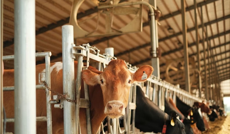 St. Paul Lawmakers Pass Bipartisan Dairy Aid Bill