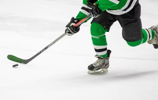 Stars Even Series With 4-2 Win Over Wild in Dallas
