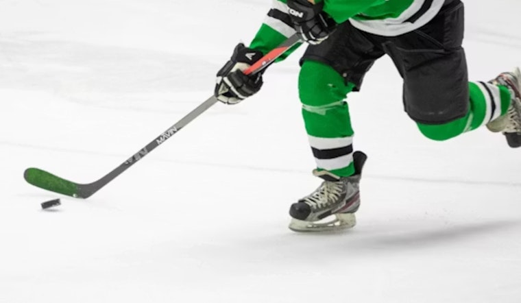 Stars Even Series With 4-2 Win Over Wild in Dallas