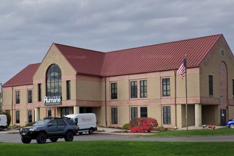 Starving Dogs Swamp Columbus Humane As Costs Crush Local Families