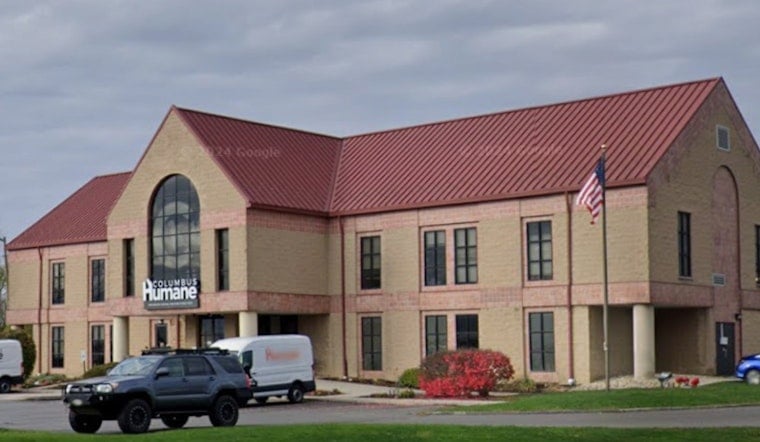 Starving Dogs Swamp Columbus Humane As Costs Crush Local Families