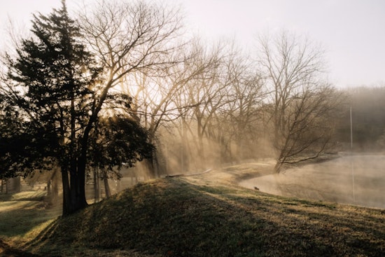Steamy Sunrise, Sneaky Fog And Choppy Seas For New Orleans