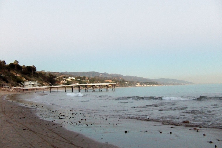Stinging Drama In Malibu As Jellyfish Zap Surfers And Stingray Risk Spikes