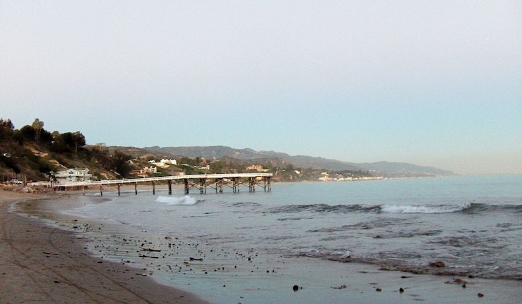 Stinging Drama In Malibu As Jellyfish Zap Surfers And Stingray Risk Spikes