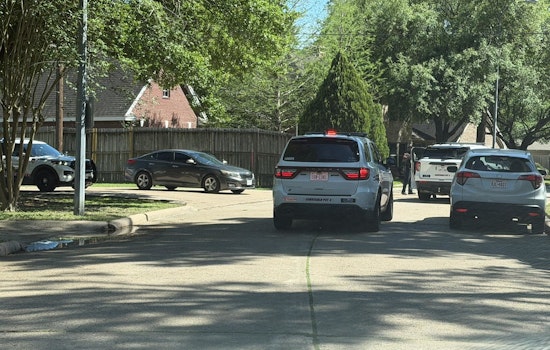 Stolen Car Stop Triggers Leticia Drive Manhunt In Cypress