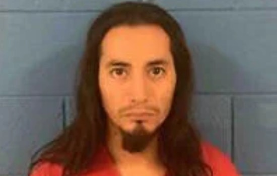 Stolen Dobermans, Dead Breeder: Georgetown Man Slapped With 55 Years