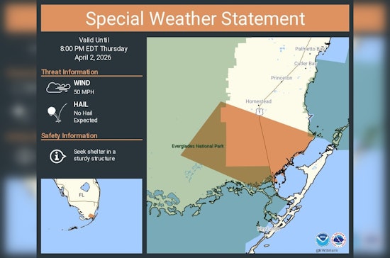 Sudden Storms Whip Miami-Dade With 50 Mph Gusts And Power Jitters