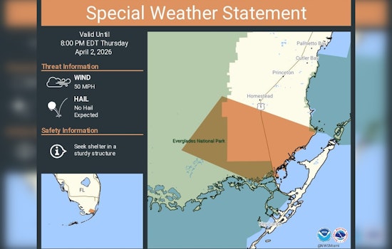 Sudden Storms Whip Miami-Dade With 50 Mph Gusts And Power Jitters