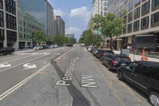 Sumo Smacks, Frilly Fashion And Kimono Pups Flood Pennsylvania Ave In D.C.