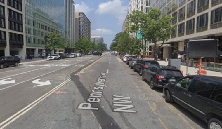 Sumo Smacks, Frilly Fashion And Kimono Pups Flood Pennsylvania Ave In D.C.