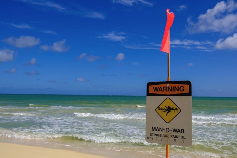 Surfrider Slams Sand Island Sewage Permit, Warns Waikiki Swimmers At Risk