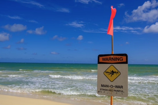Surfrider Slams Sand Island Sewage Permit, Warns Waikiki Swimmers At Risk
