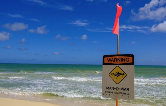 Surfrider Slams Sand Island Sewage Permit, Warns Waikiki Swimmers At Risk