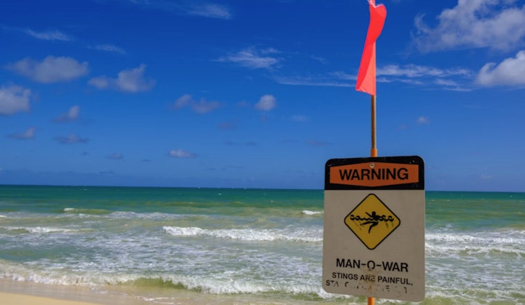 Surfrider Slams Sand Island Sewage Permit, Warns Waikiki Swimmers At Risk