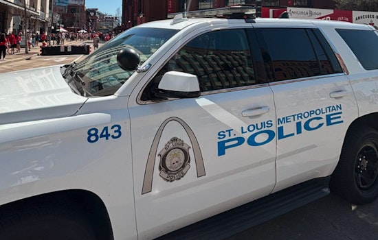 Swastika Taggers Hit Five Cars In Benton Park Alley