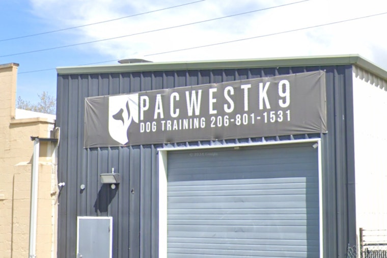 Tacoma Dog Trainer Hit With Felony Charges After Video Shows K9 Brawl