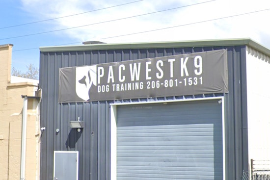 Tacoma Dog Trainer Hit With Felony Charges After Video Shows K9 Brawl