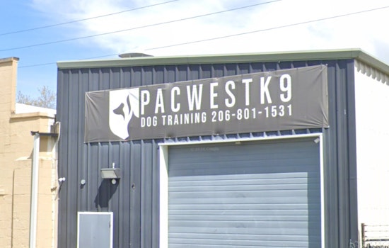 Tacoma Dog Trainer Hit With Felony Charges After Video Shows K9 Brawl