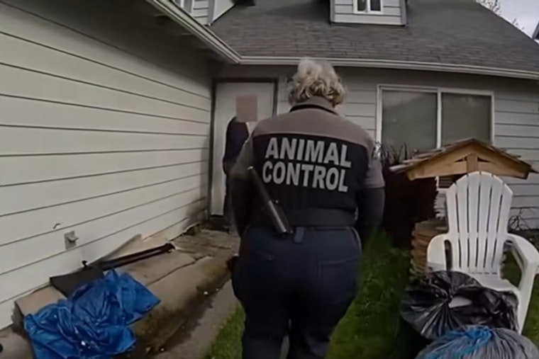 Tacoma Renters Vanish, Leaving Starved Dog And ‘Mummified’ Gecko Behind