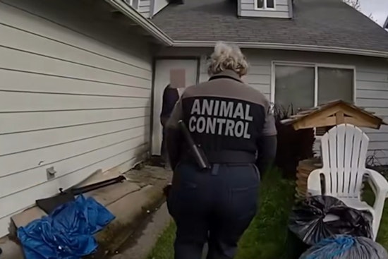 Tacoma Renters Vanish, Leaving Starved Dog And ‘Mummified’ Gecko Behind