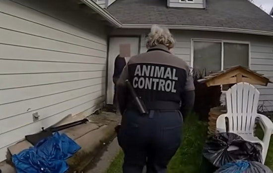 Tacoma Renters Vanish, Leaving Starved Dog And ‘Mummified’ Gecko Behind