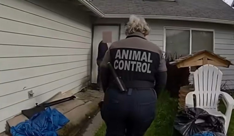 Tacoma Renters Vanish, Leaving Starved Dog And ‘Mummified’ Gecko Behind