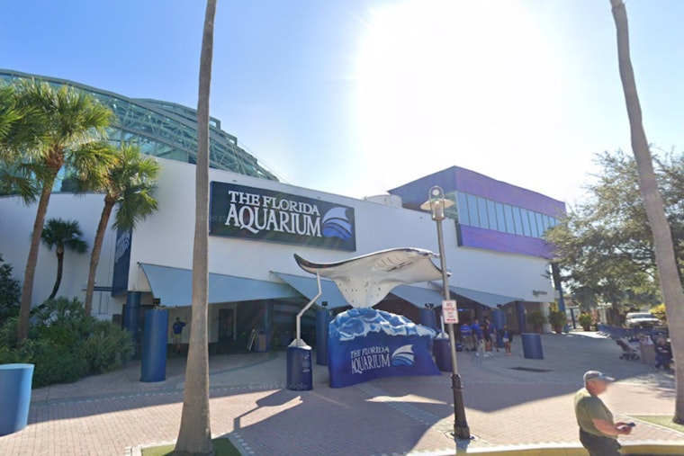Tampa Aquarium Puts Up Pop-Up Flood Wall To Keep Sea Life Above Water