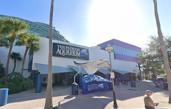 Tampa Aquarium Puts Up Pop-Up Flood Wall To Keep Sea Life Above Water