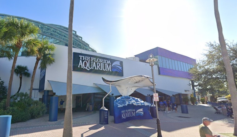 Tampa Aquarium Puts Up Pop-Up Flood Wall To Keep Sea Life Above Water