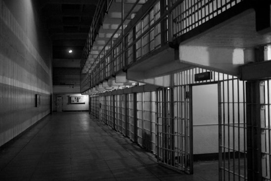 Tampa Guest House Feud Lands Homeowner Behind Bars