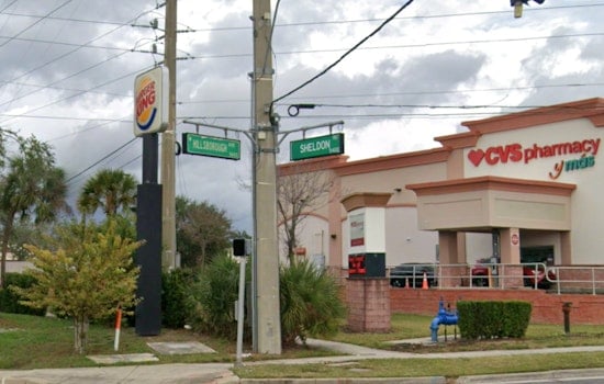 Tampa Teen Busted After Slamming Patrol Car In Botched Getaway