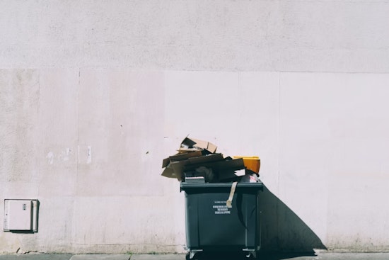 St. Louis Trash Shake-Up as Task Force Moves To Kill Alley Recycling Dumpsters
