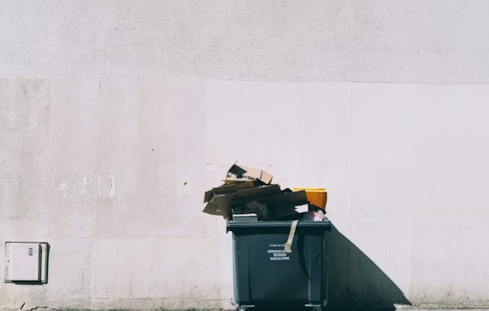 St. Louis Trash Shake-Up as Task Force Moves To Kill Alley Recycling Dumpsters