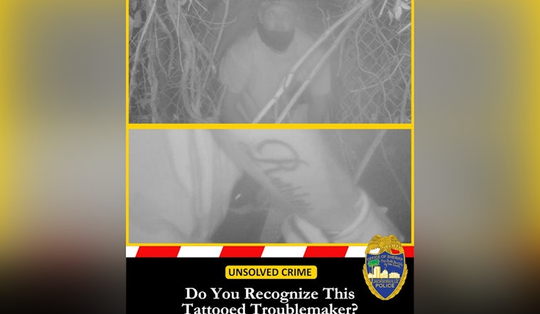 Tattooed Fence-Crawler Rips Off West Beaver Business, JSO Says