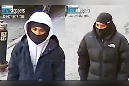 Teens Robbed at Gunpoint as Moped Crew Strikes on 233rd Street, Cops Say