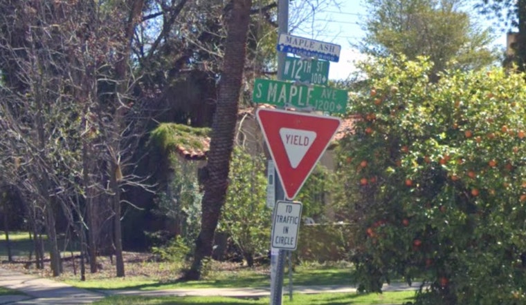 Tempe Tree Job Turns Tragic as Worker Dies in Morning Mishap