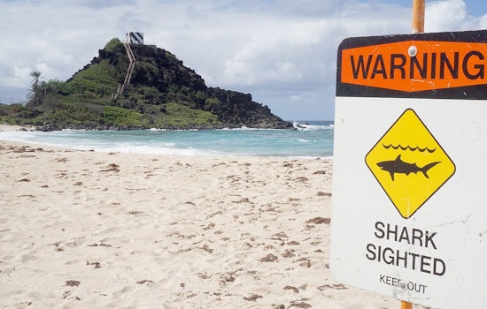 Ten-Foot Shark Sighting Sparks Alert At Electric Beach