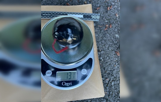 Tennis Ball Bomb Chaos On I-90 Lands Mercer Island Man In Prison