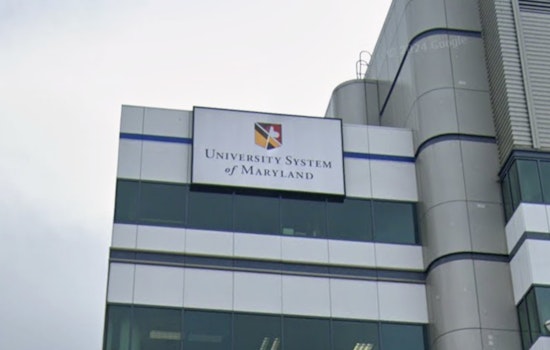 Terps Turn on Regent: UMD Students Stage Symbolic Vote Over McMillen’s Epstein Emails
