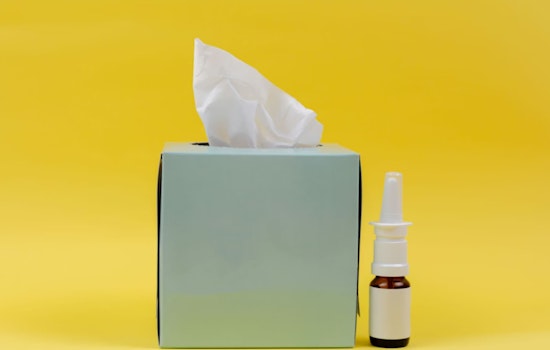 Aggie Brain Spray Stuns Scientists, Turns Back Clock In Aging Mice