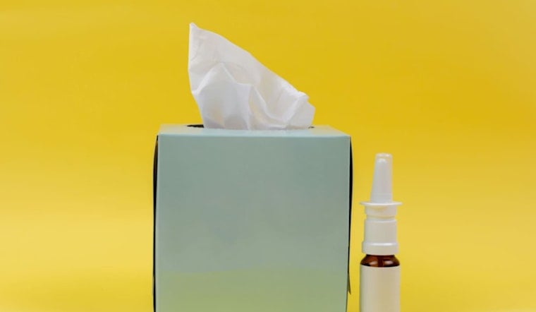 Aggie Brain Spray Stuns Scientists, Turns Back Clock In Aging Mice