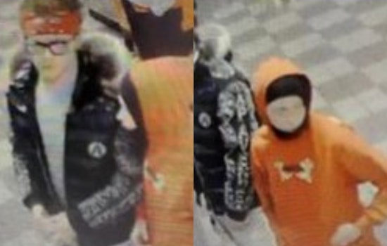 Thief Snags Maxima On Quiet Cincinnati Block, Cops Ask Neighbors To Speak Up