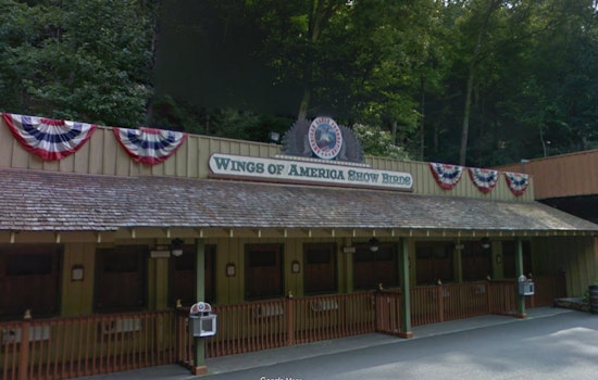 Three Eagles Missing After Dollywood Aviary Damage