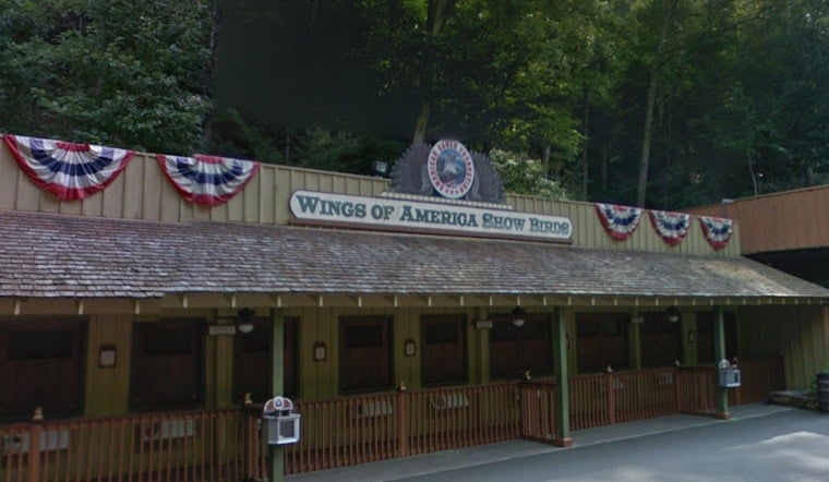 Three Eagles Missing After Dollywood Aviary Damage