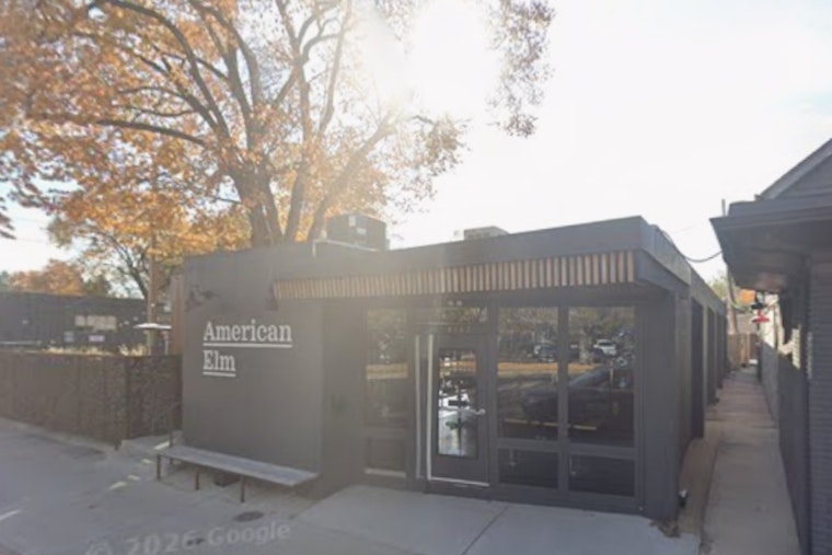 Three Years Later, American Elm Killer Still On The Loose In West Highland