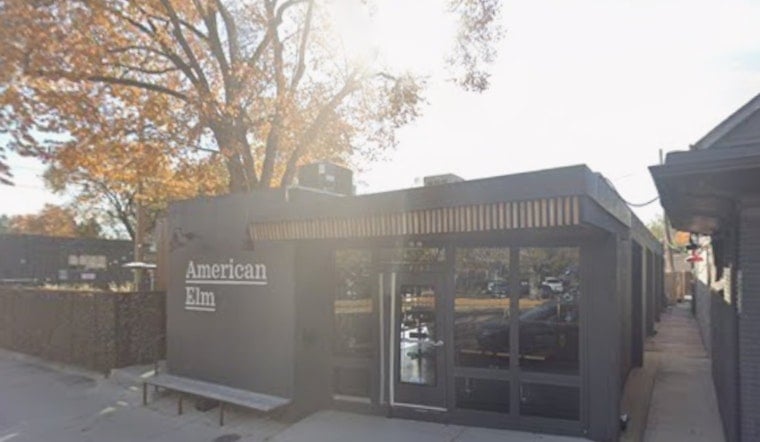 Three Years Later, American Elm Killer Still On The Loose In West Highland