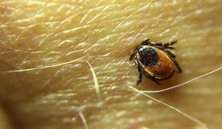 Tick-Related ER Visits Highest In Nearly A Decade